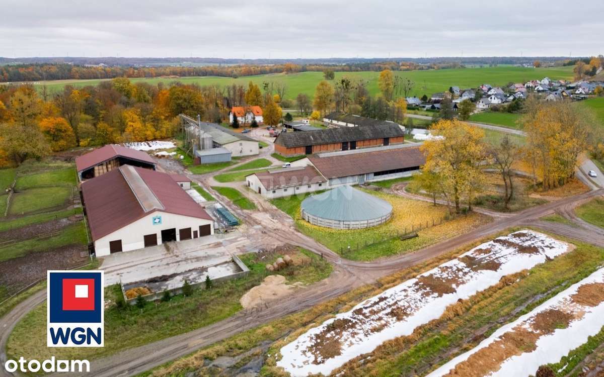 Na sprzedaż, Gospodarstwo Rolne- Ekologiczna Farma Mleczna, Wyczechowo-6