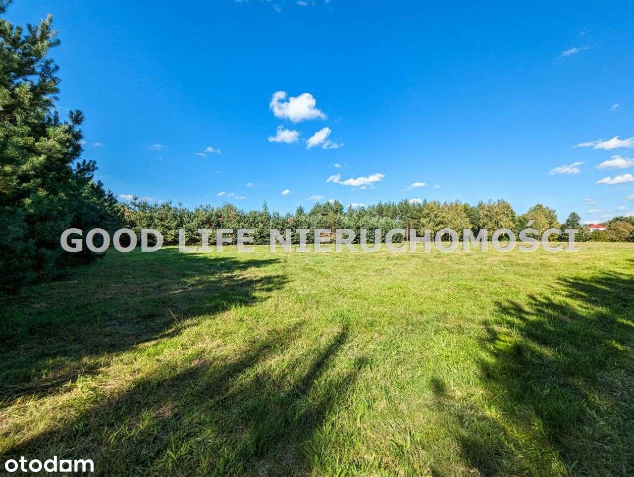 Hala 2000 m2 działka 3,63 ha przy lotnisku - Pełny obrazek: 2/14