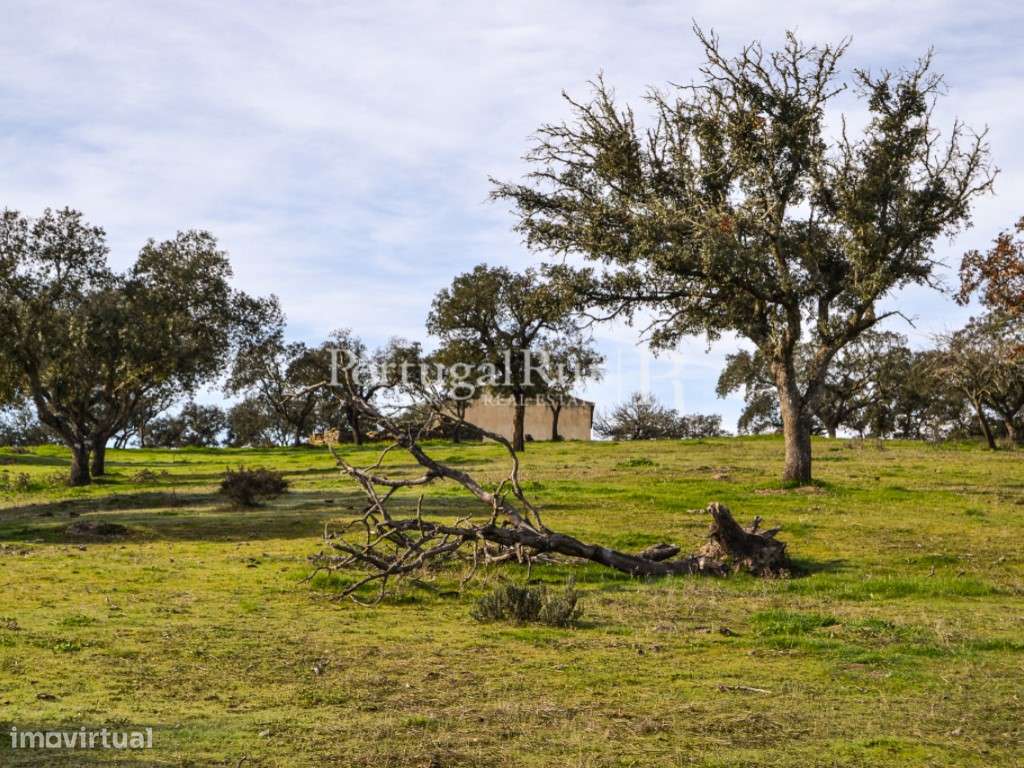 Herdade de 60 ha e monte, em Reguengos de Monsaraz-27
