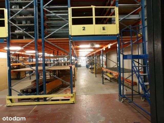 Hala wysokiego składowania do wynajęcia! - Pełny obrazek: 1/10