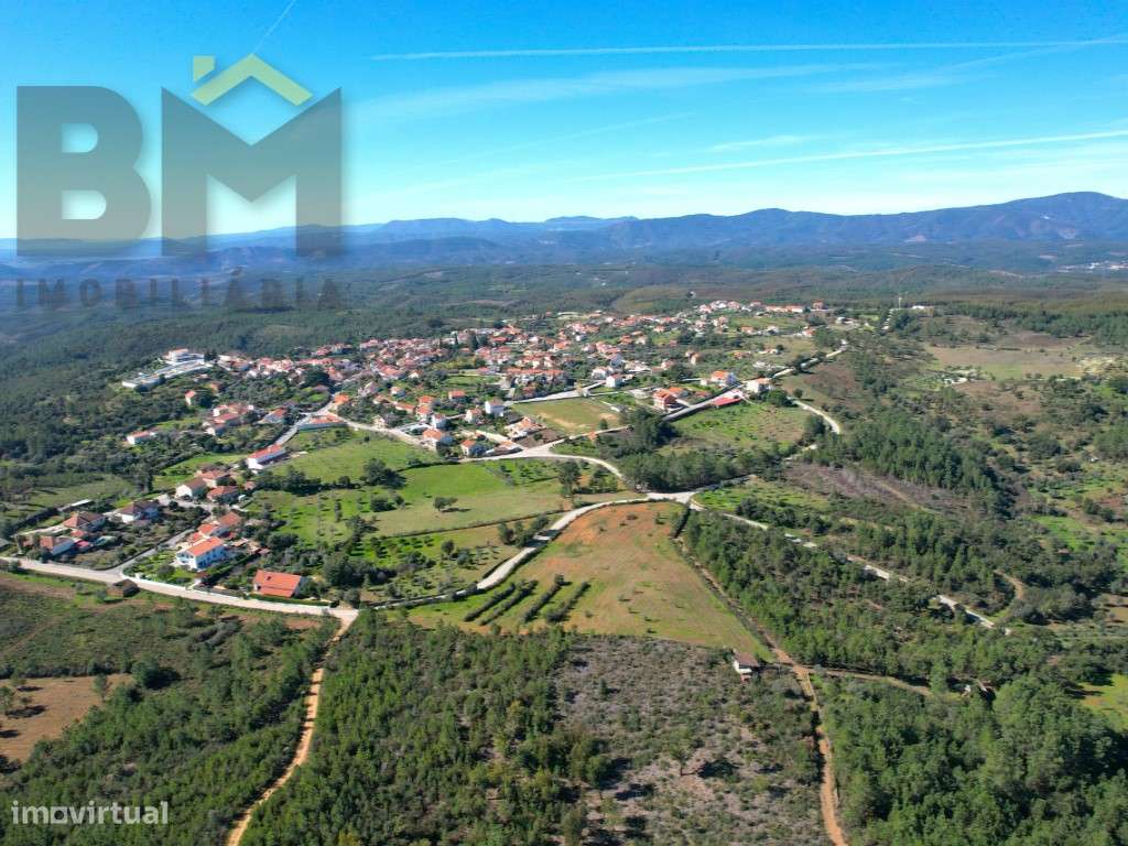 Terreno rústico com 1.2hectares, na aldeia de Sobral do Campo | 15m... - Grande imagem: 3/8