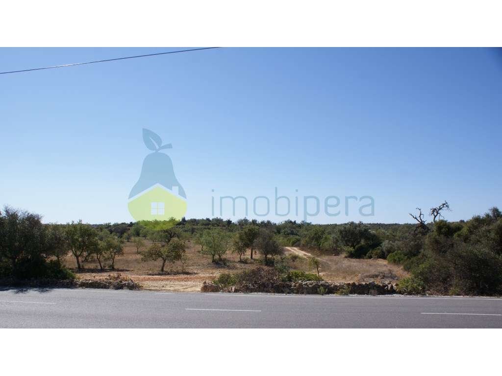 Terreno muito bem localizado em Algoz no centro do Algarve - Grande imagem: 5/11