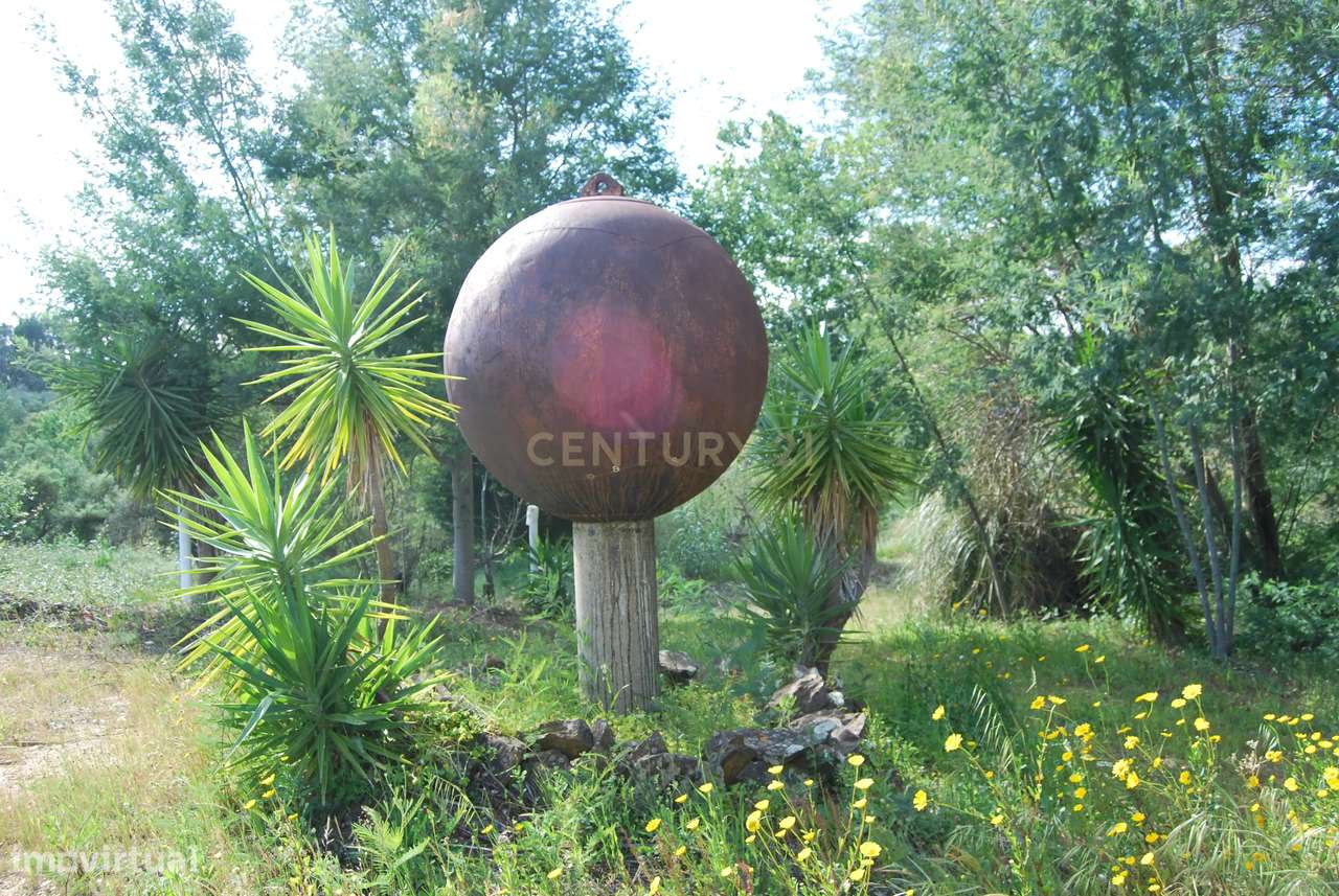 Terreno rústico 28200m2 em Vale do Junco, Chamusca, Golegã-36