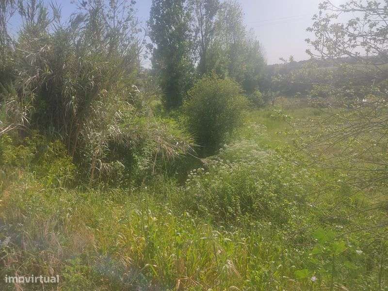 Terreno rústico com 3250 m2 - Grande imagem: 5/5