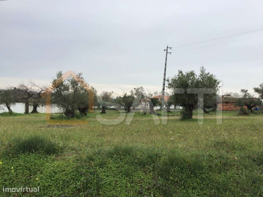 Venda - Terreno para construção. 685 m2 Pedrogão - Torres Novas - Grande imagem: 2/6