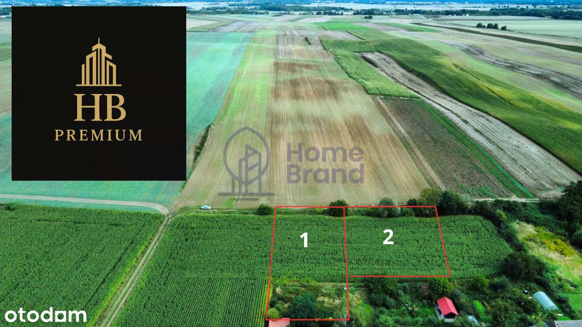 10 minut od Oleśnicy| Prąd na działce| - Pełny obrazek: 2/5