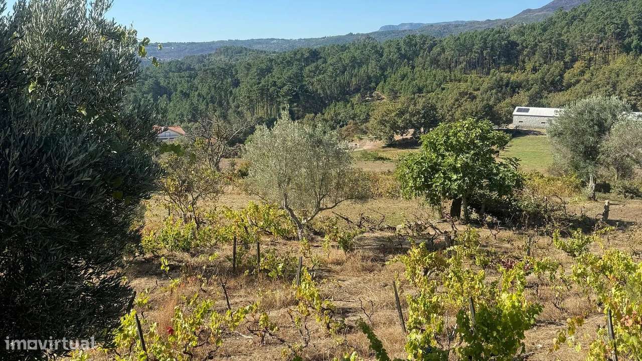 Quinta de 12.200m2 com Potencial Ilimitado, em Lordelo - Vila Real-6