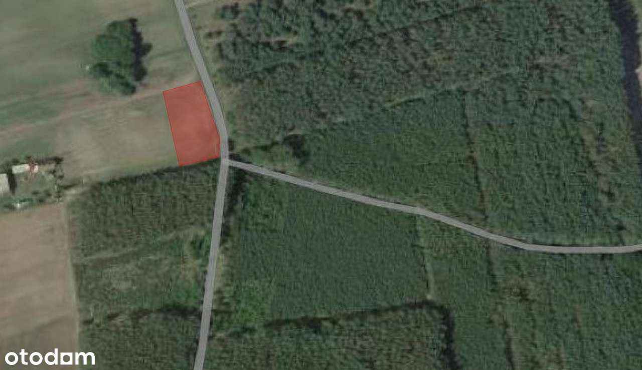 Przepiękna działka pod lasem + opcjonalnie projekt - Pełny obrazek: 5/8