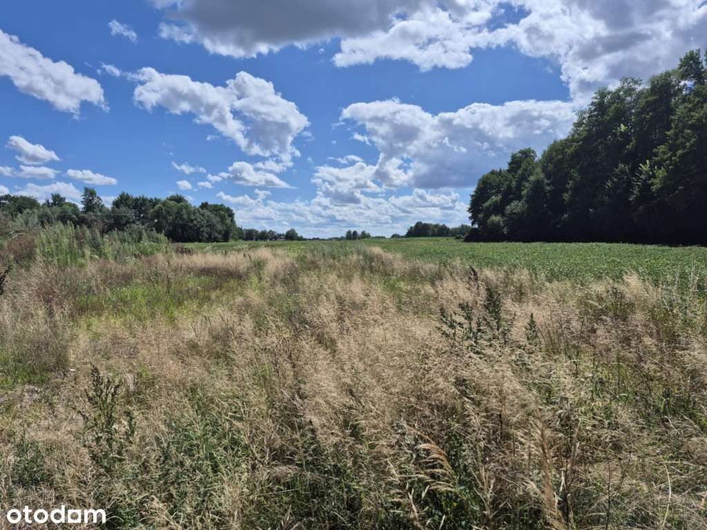 102/18292/OGS - Pełny obrazek: 5/19