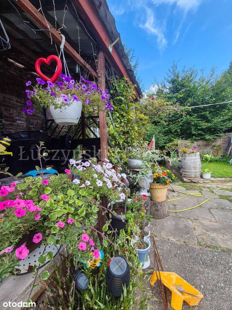 Zamieszkaj na pięknej wsi - Golejów - Pełny obrazek: 4/16