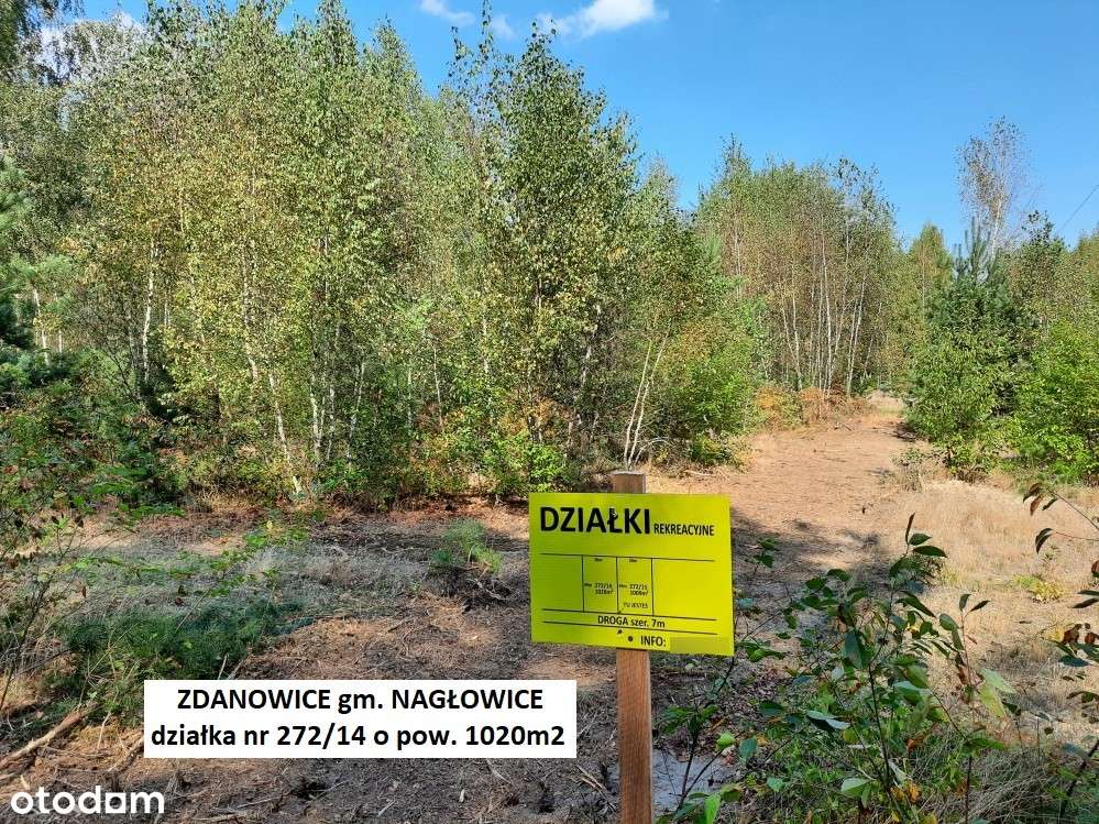 Tania działka rekreacyjna 1020m2 tylko 49.900 zł (brutto z 23% VAT)-16