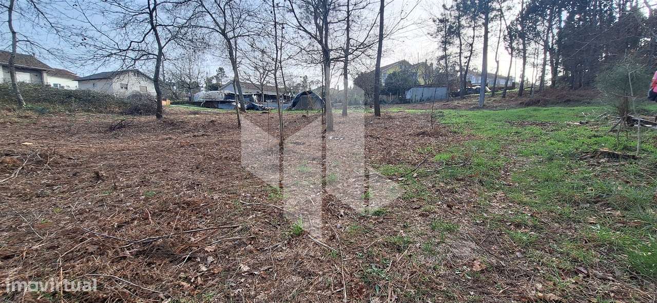 Terreno Para Construção  Venda em São Miguel do Outeiro e Sabugosa,Ton - Grande imagem: 5/12