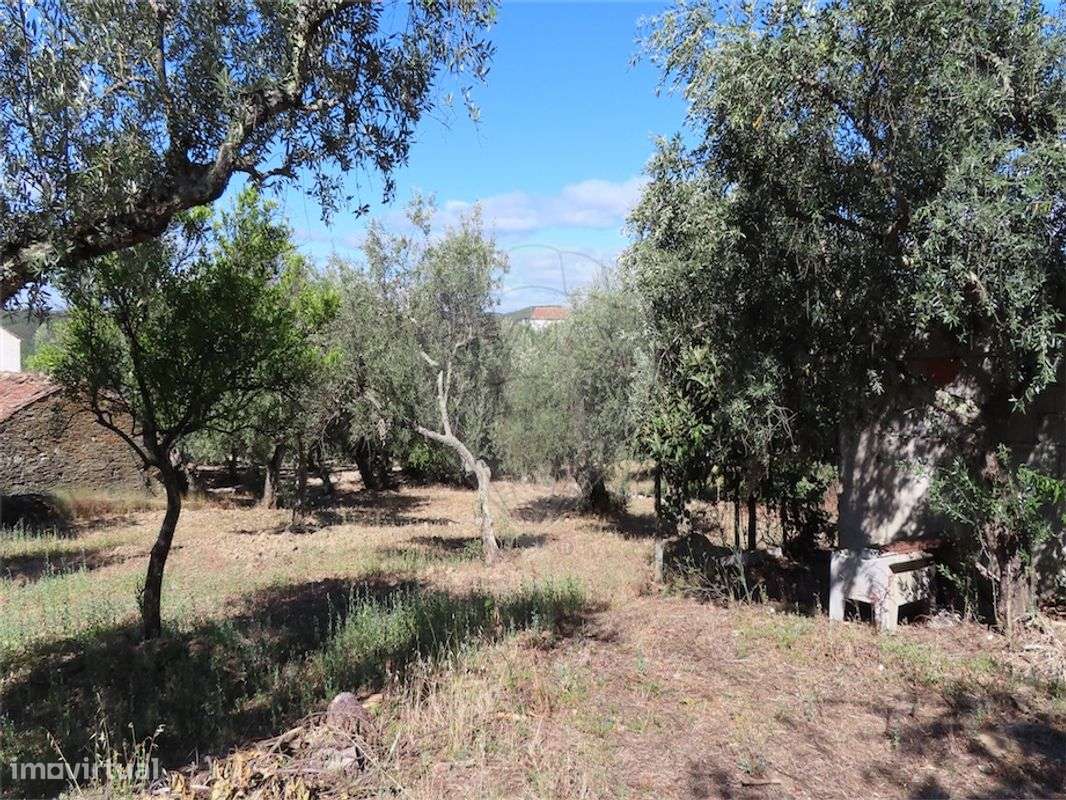 Quinta  para venda - Grande imagem: 5/25