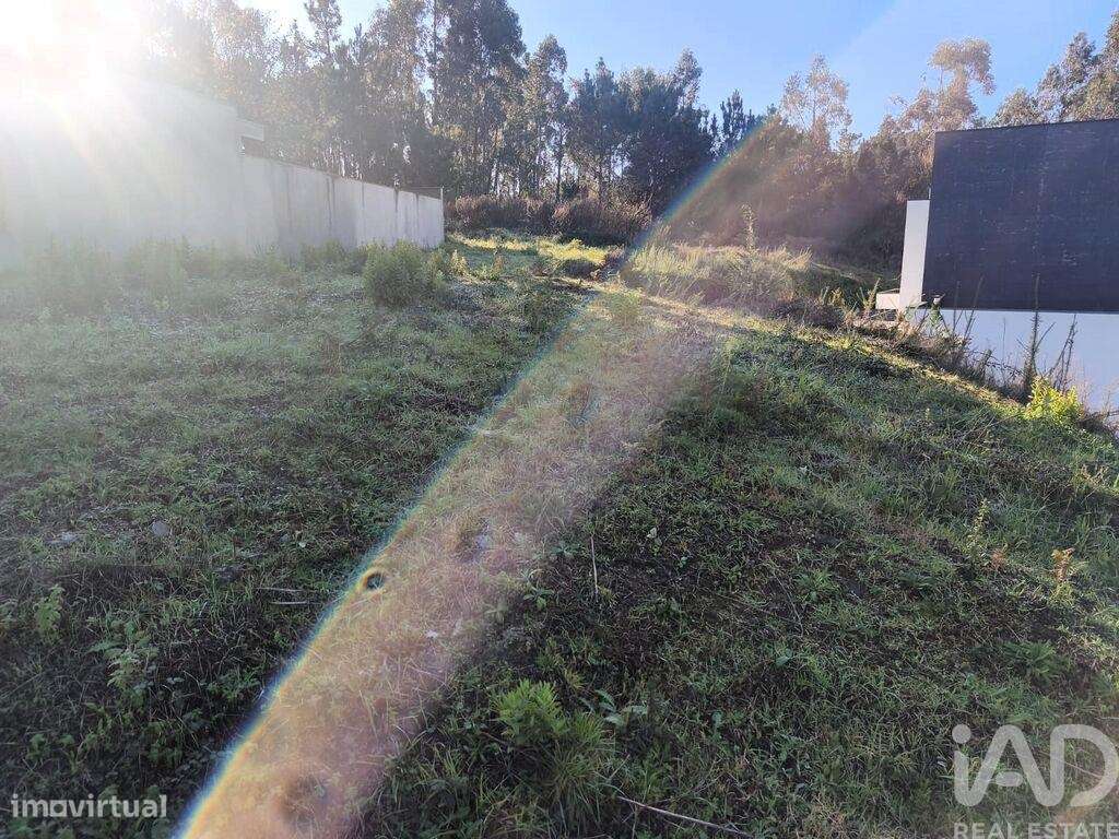 Terreno para construção em Forjães - Grande imagem: 3/9