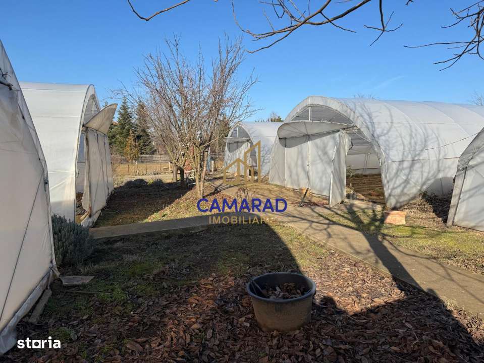 Teren intravilan vanzare - 2.750 mp – Darvari/Tamadalu Mare (judetul-6