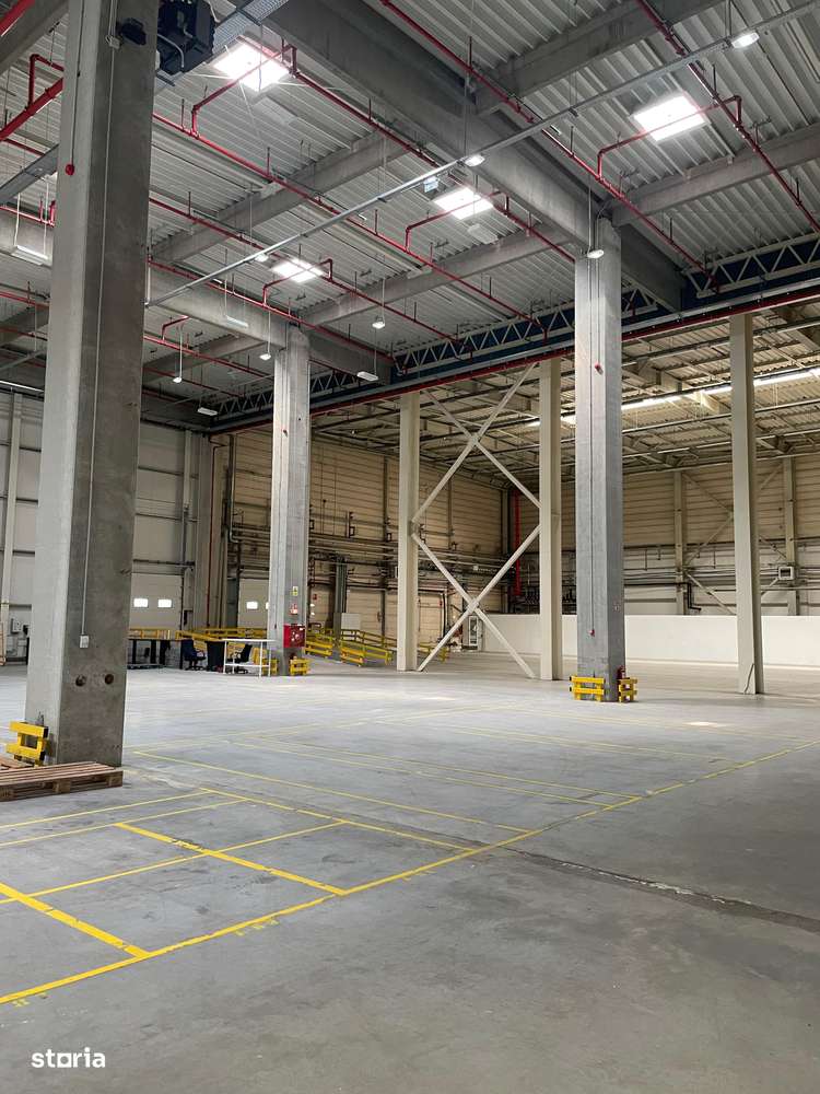 Spatiu depozitare & productie Timisoara - Imagine principală: 2/4