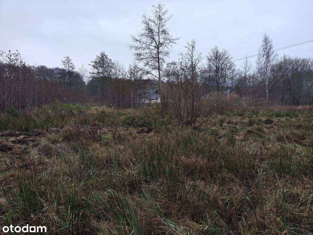 Słoneczna działka budowlana w Sasinie Jarzębinowa-14