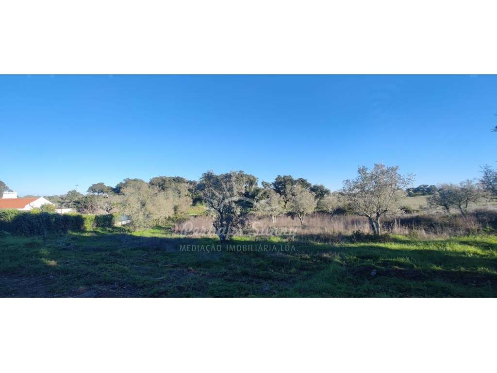 TERRENO RÚSTICO PARA VENDA - UMA OPORTUNIDADE NA SERRA DE GRÂNDOLA-6