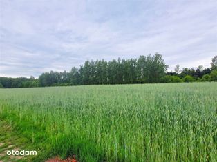 Działka budowlana Rybnik-Niedobczyce przy Lesie