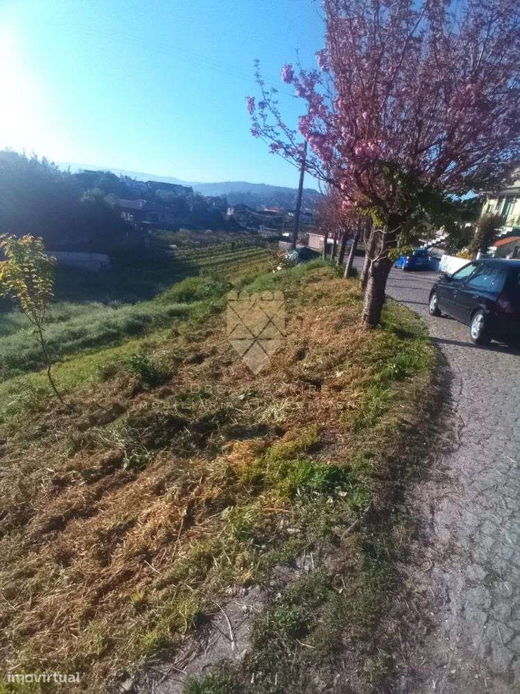 Terreno com 2.000 m² – Localização Privilegiada em Recarei - Grande imagem: 5/5