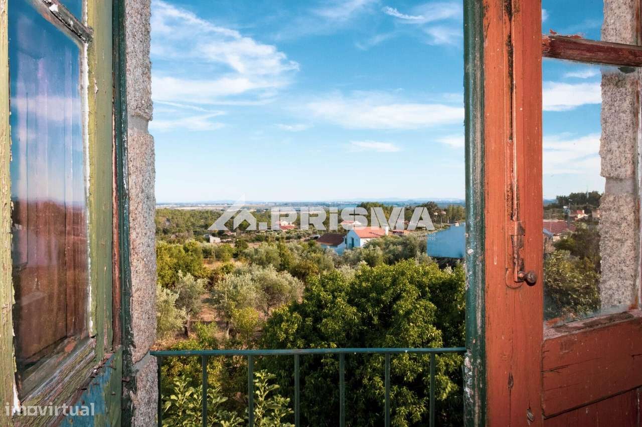 Moradia em Pedra para venda em S. Fiel, Louriçal do Campo - Grande imagem: 3/19