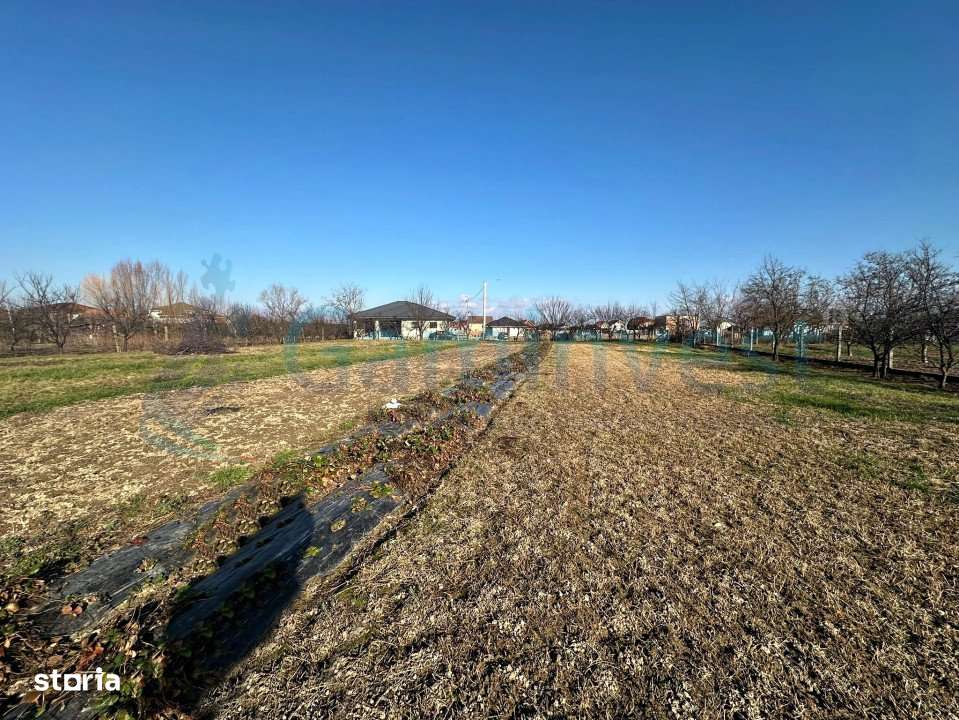 Gaminvest-Parcele de teren intravilan de vanzare, Sanmartin V3992 - Imagine principală: 3/3