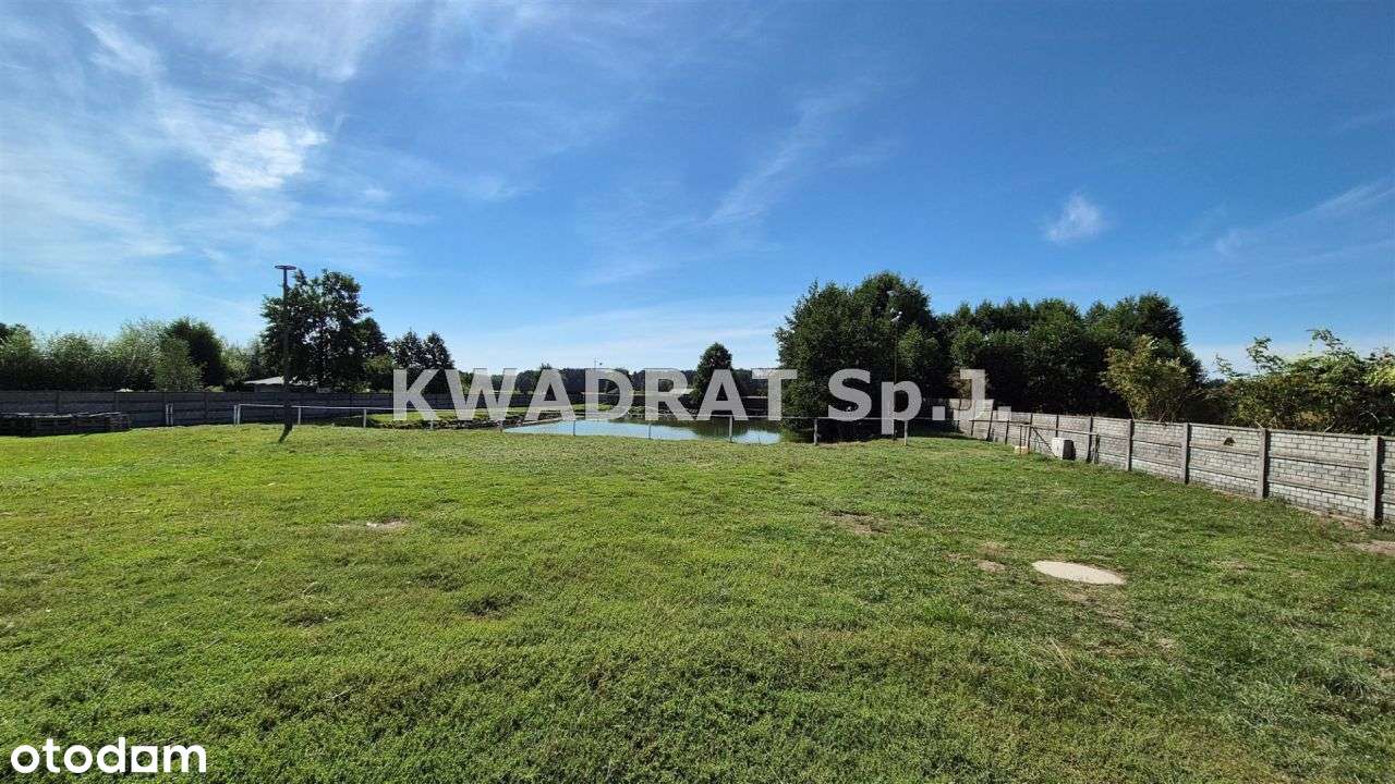 Agroturystyka w Dąbiu!!!!! - Pełny obrazek: 4/20