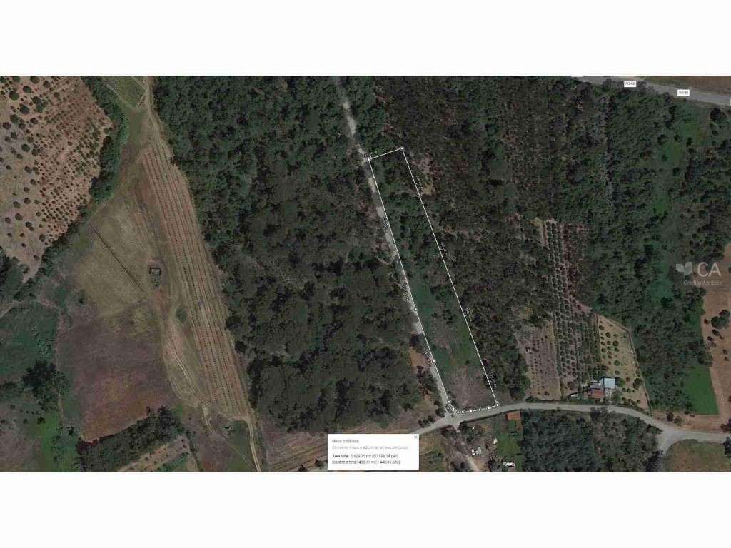 TERRENO - SOURE - Grande imagem: 4/9