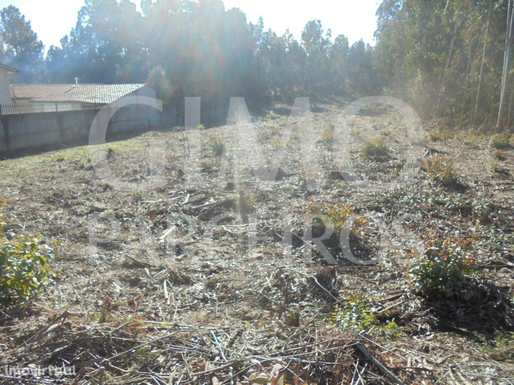 TERRENO ARREDORES SANGALHOS