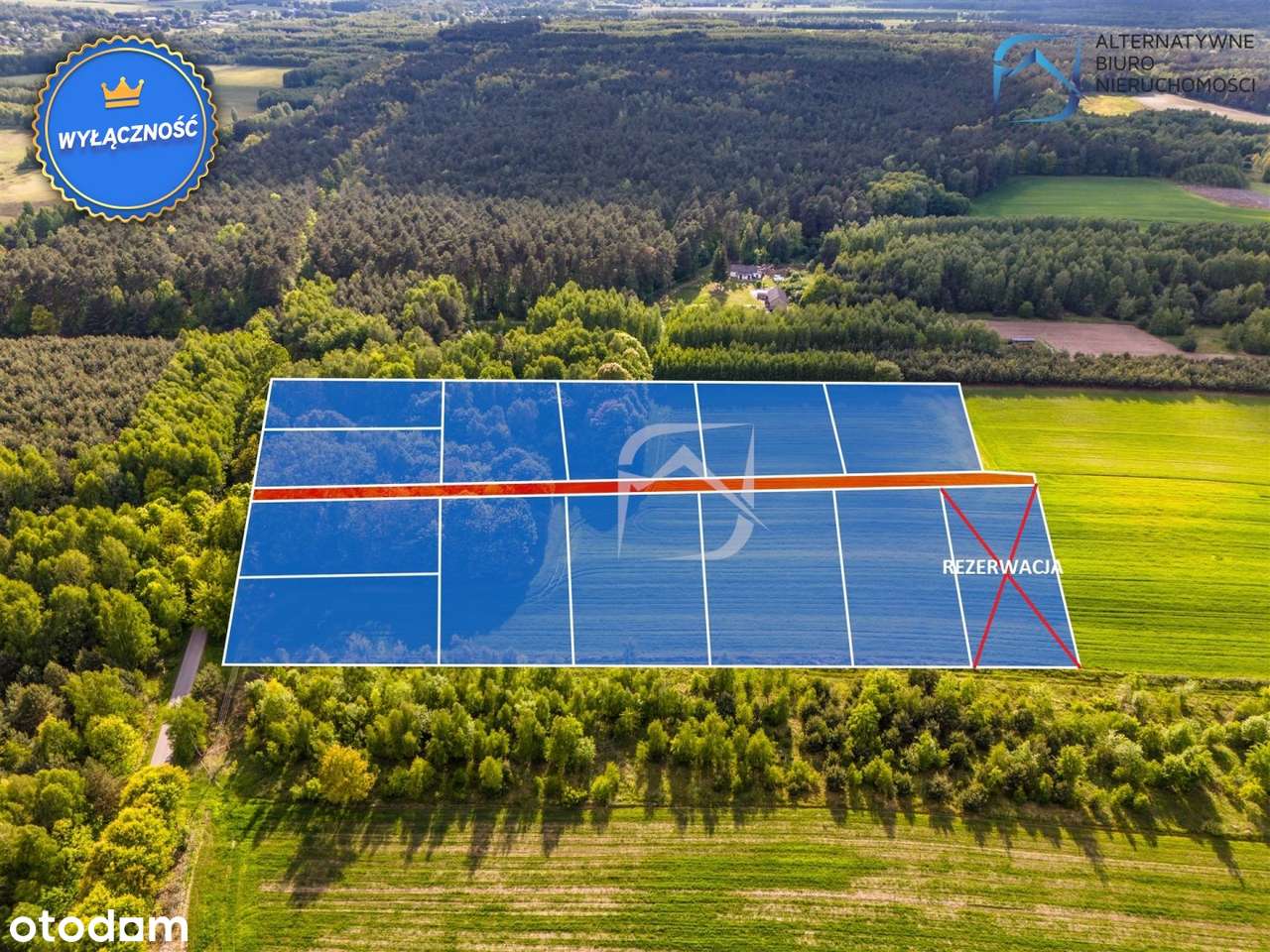 Działki budowlane w leśnej okolicy- Tarło - Pełny obrazek: 5/14