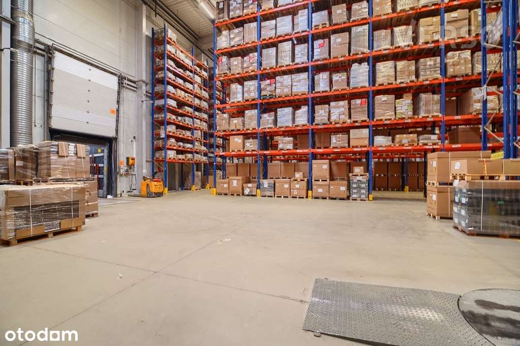 Magazyn,biura, hala namiotowa, działka do zabudowy-0