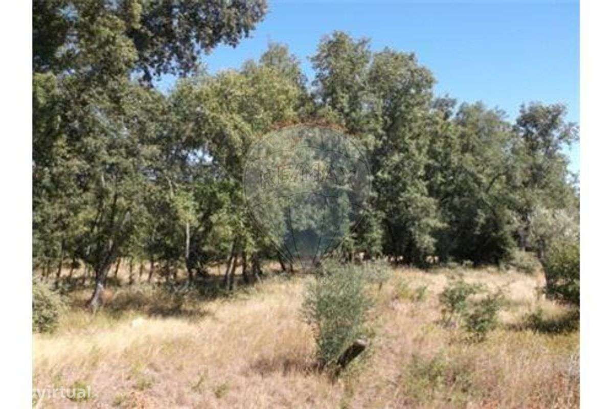 Casa de campo pronta a habitar-16