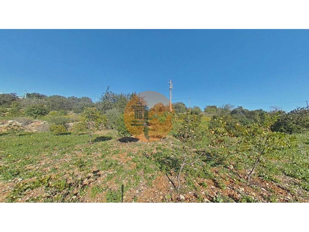 Terreno Rústico - Grande imagem: 5/25