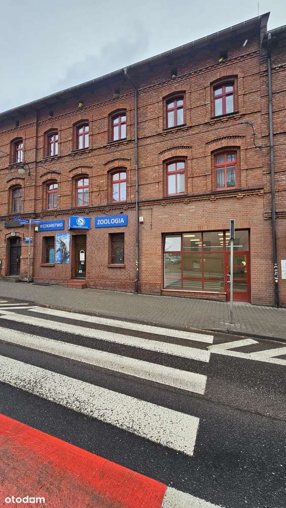 Komfortowy lokal 48,70m2 plus piwnica 19,50m2 - Pełny obrazek: 4/18