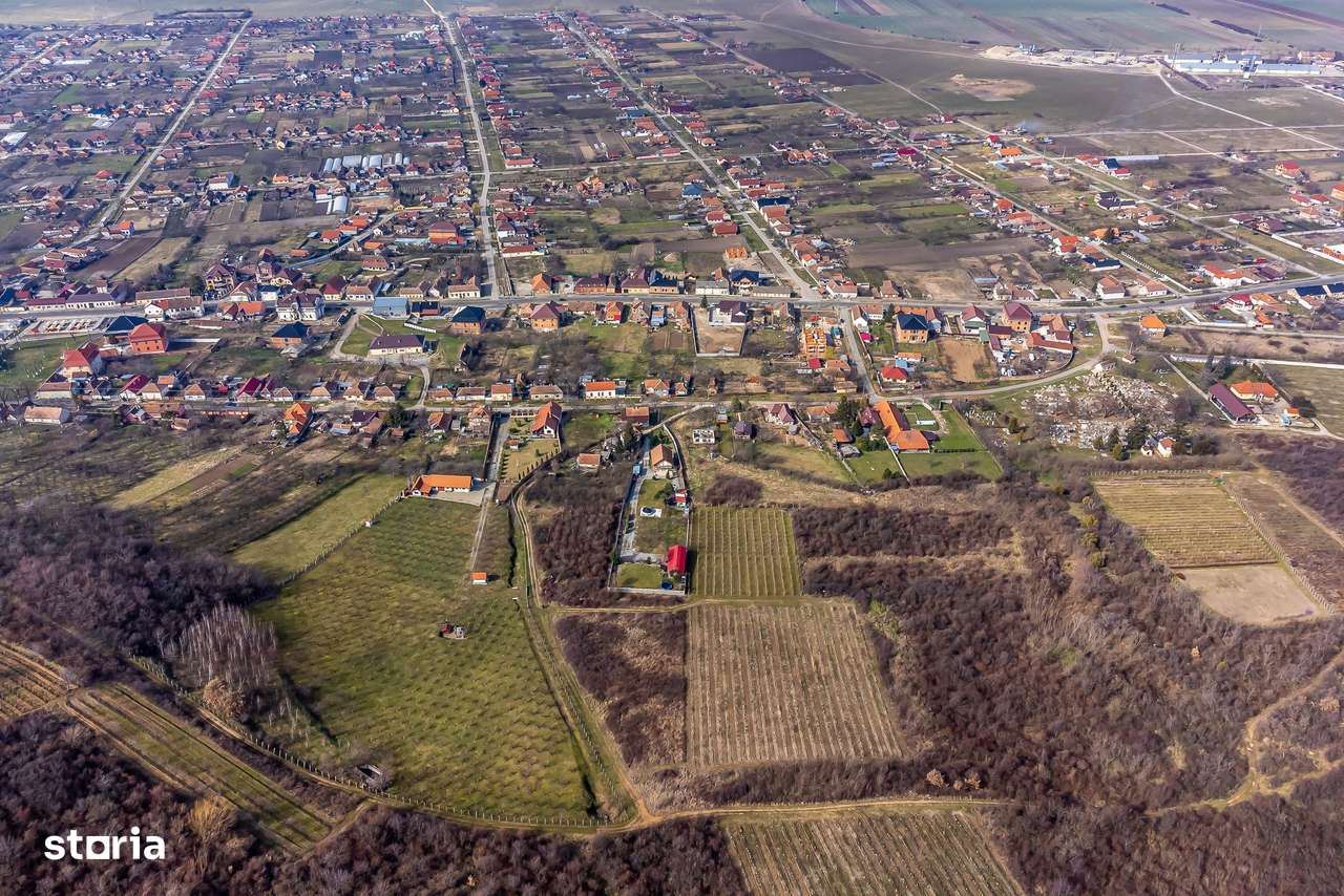 Teren intravilan în Șiria pe deal - Imagine principală: 4/6