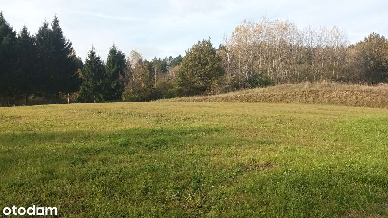 Działka, 2 824 m², Unieszewo - Pełny obrazek: 4/7