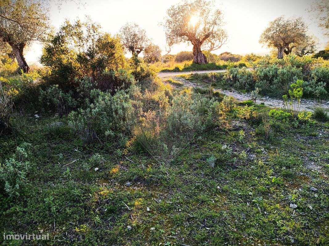 Terreno  para venda - Grande imagem: 2/3