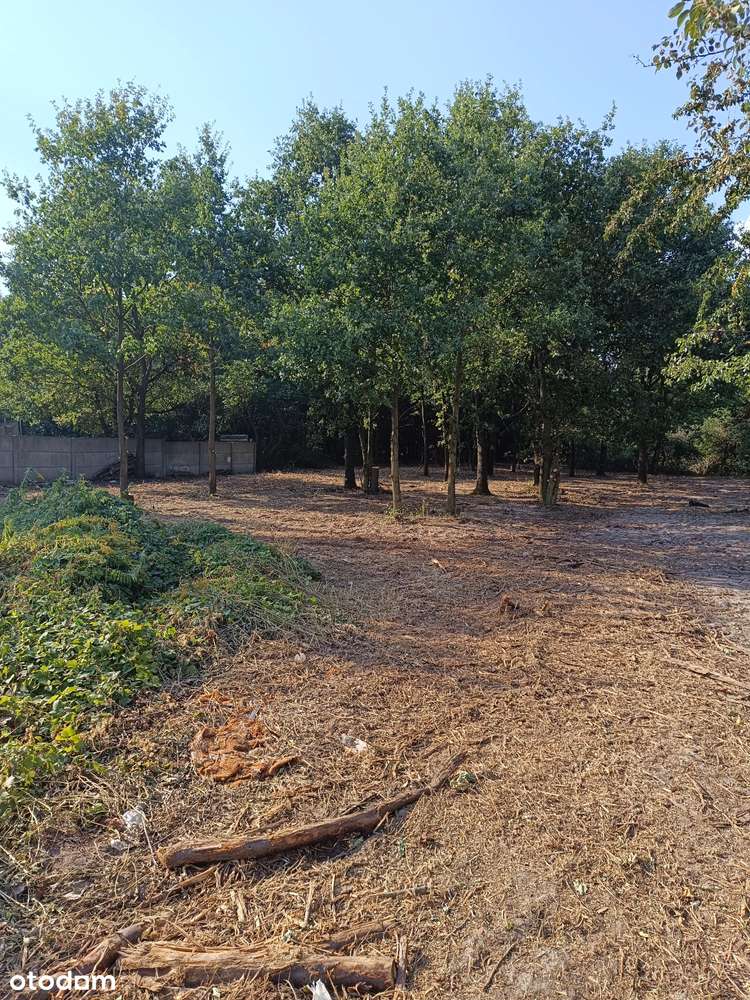 Działka w centrum Mosiny | Piękny widok | brak prowizji-2