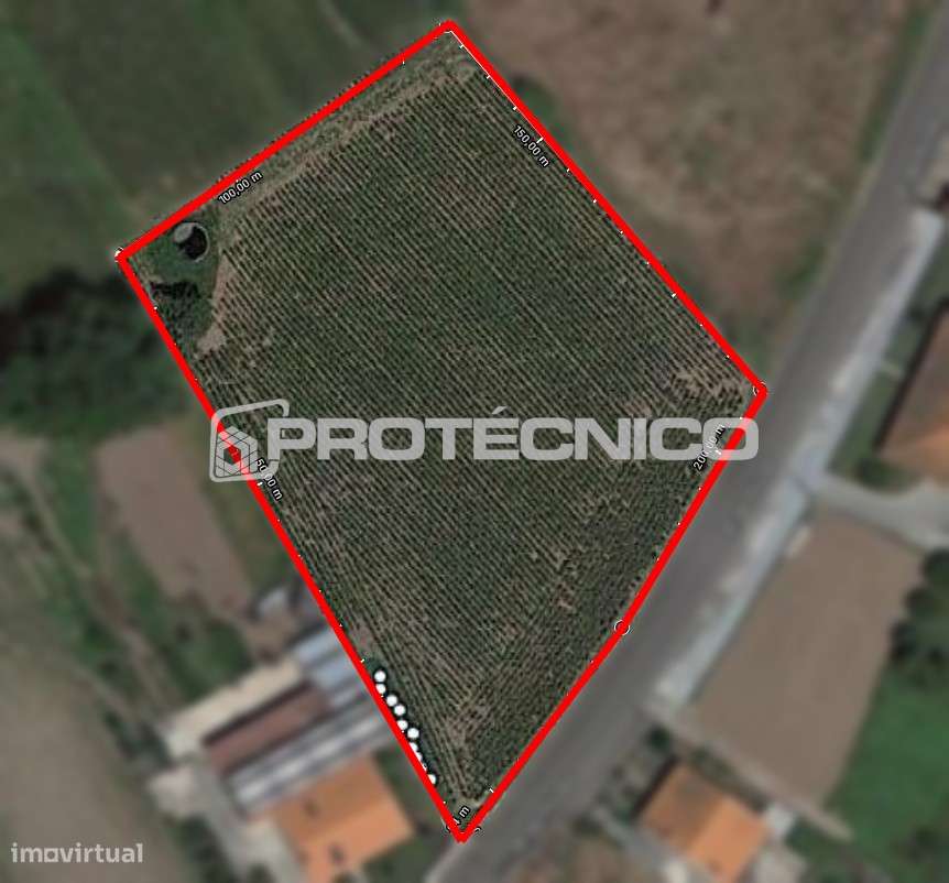 Terreno p/ construção de Moradias Isoladas - Oliveirinha - Grande imagem: 4/4