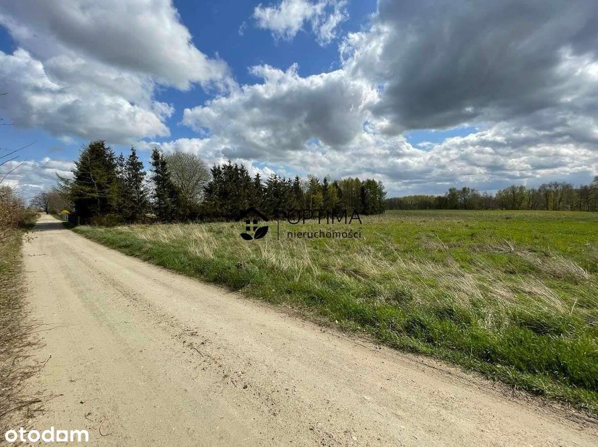 Działka 1099m2. Cisza, spokój i dużo zieleni - Pełny obrazek: 4/8