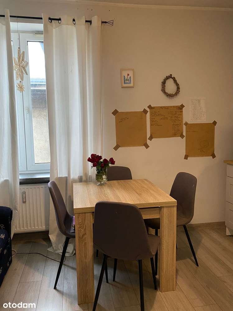 2 pokoje po remoncie | miejsce parkingowe | centrum Poznania - Pełny obrazek: 4/19
