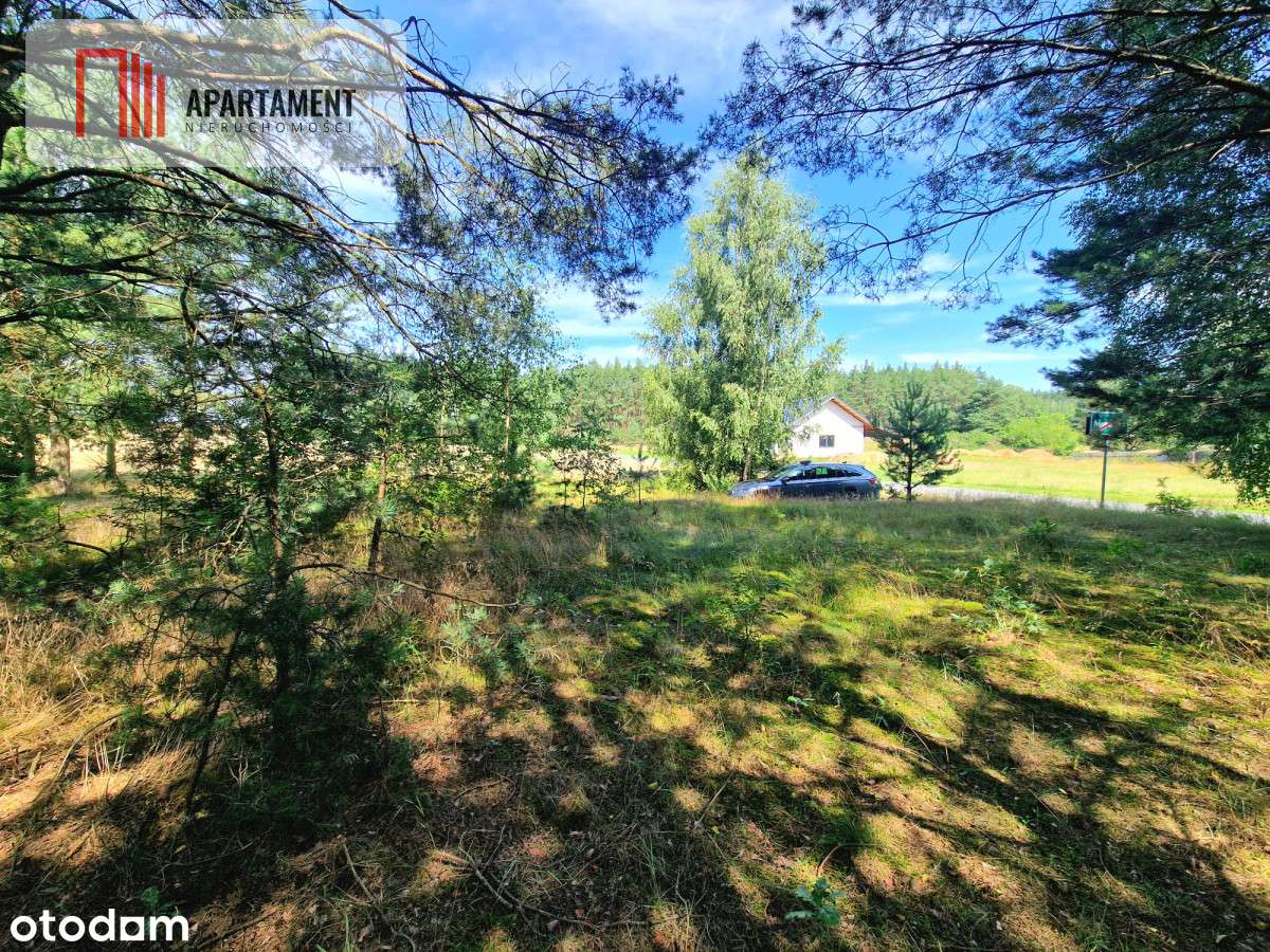 Działka budowlana w Borach Tucholskich! - Pełny obrazek: 5/10