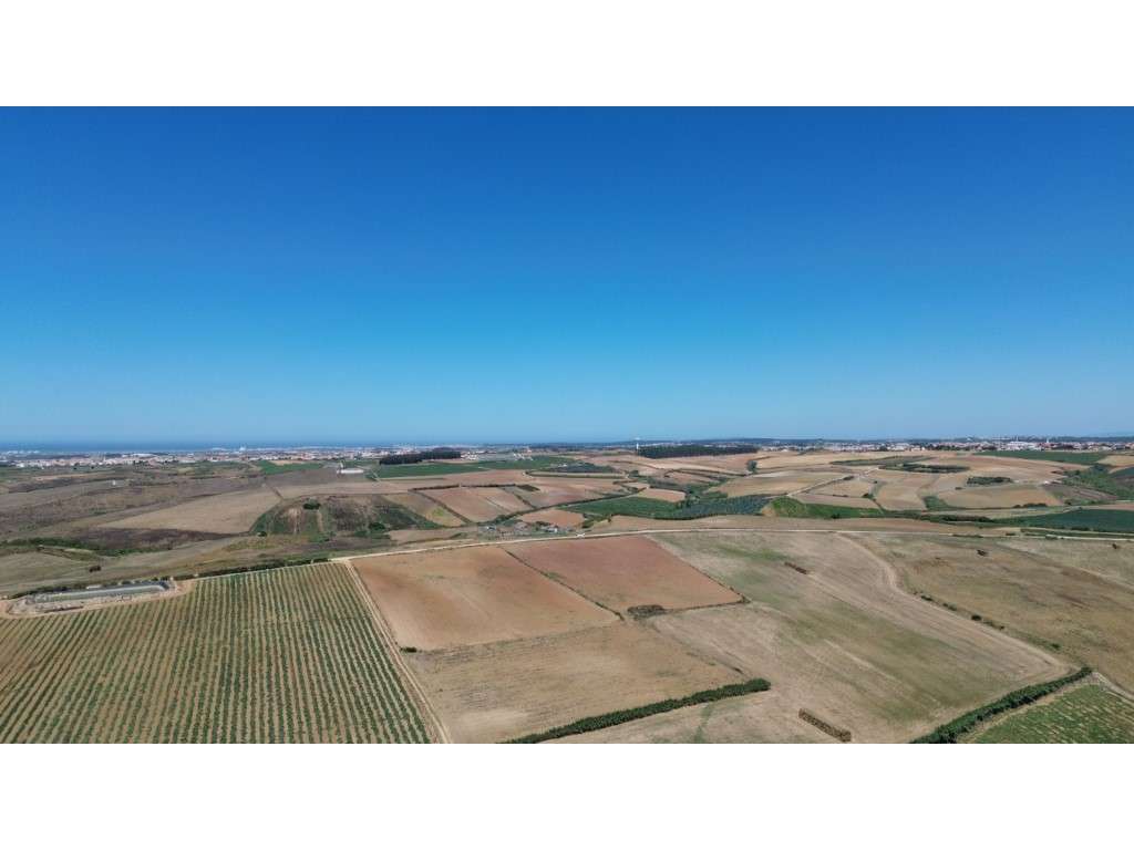 VENDE-SE TERRENO COM 5,92HA - PAIMOGO - LOURINHÃ - Grande imagem: 5/18