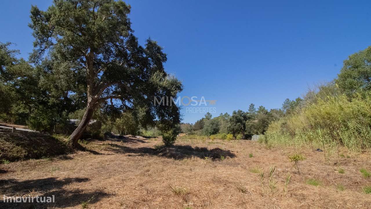 Herdade com 7,1 hectares com Potencial Turístico em Aljezur - Grande imagem: 4/21