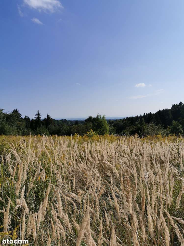 Widokowa działka 16,7a Dojazdów w całości budowlana