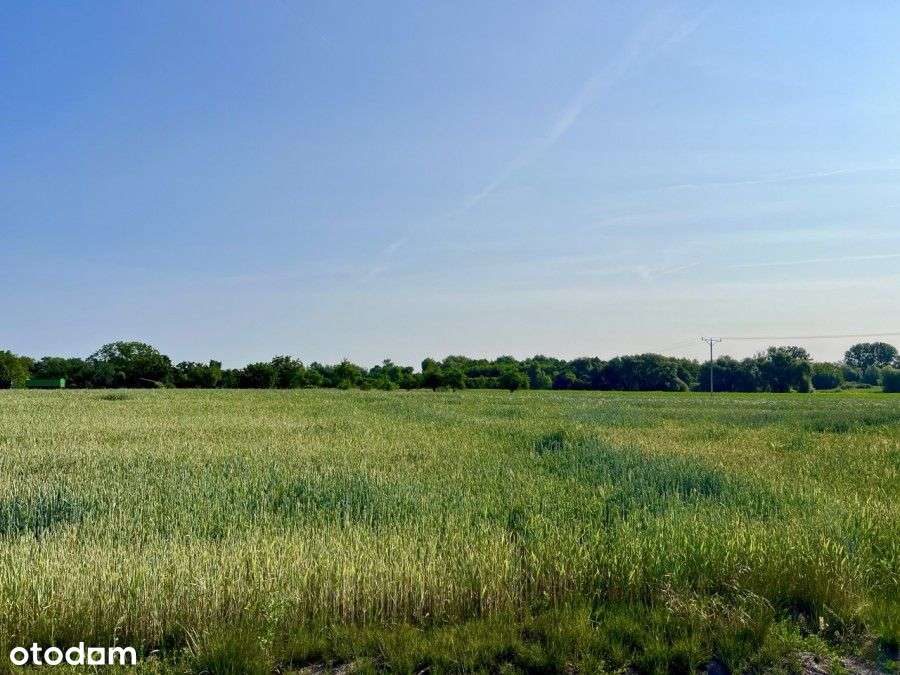 Działka Z Widokiem Na Pola - Pełny obrazek: 3/5