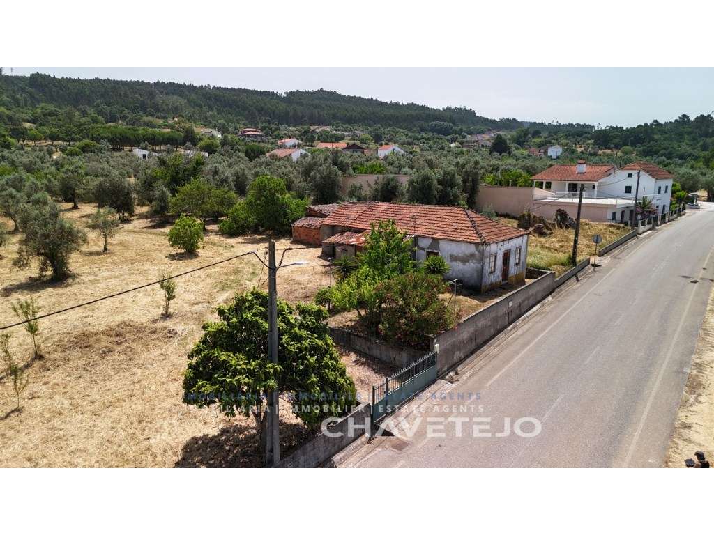 Moradia T1+1 térrea com garagem, com projeto de renovação aprovado ... - Grande imagem: 5/36