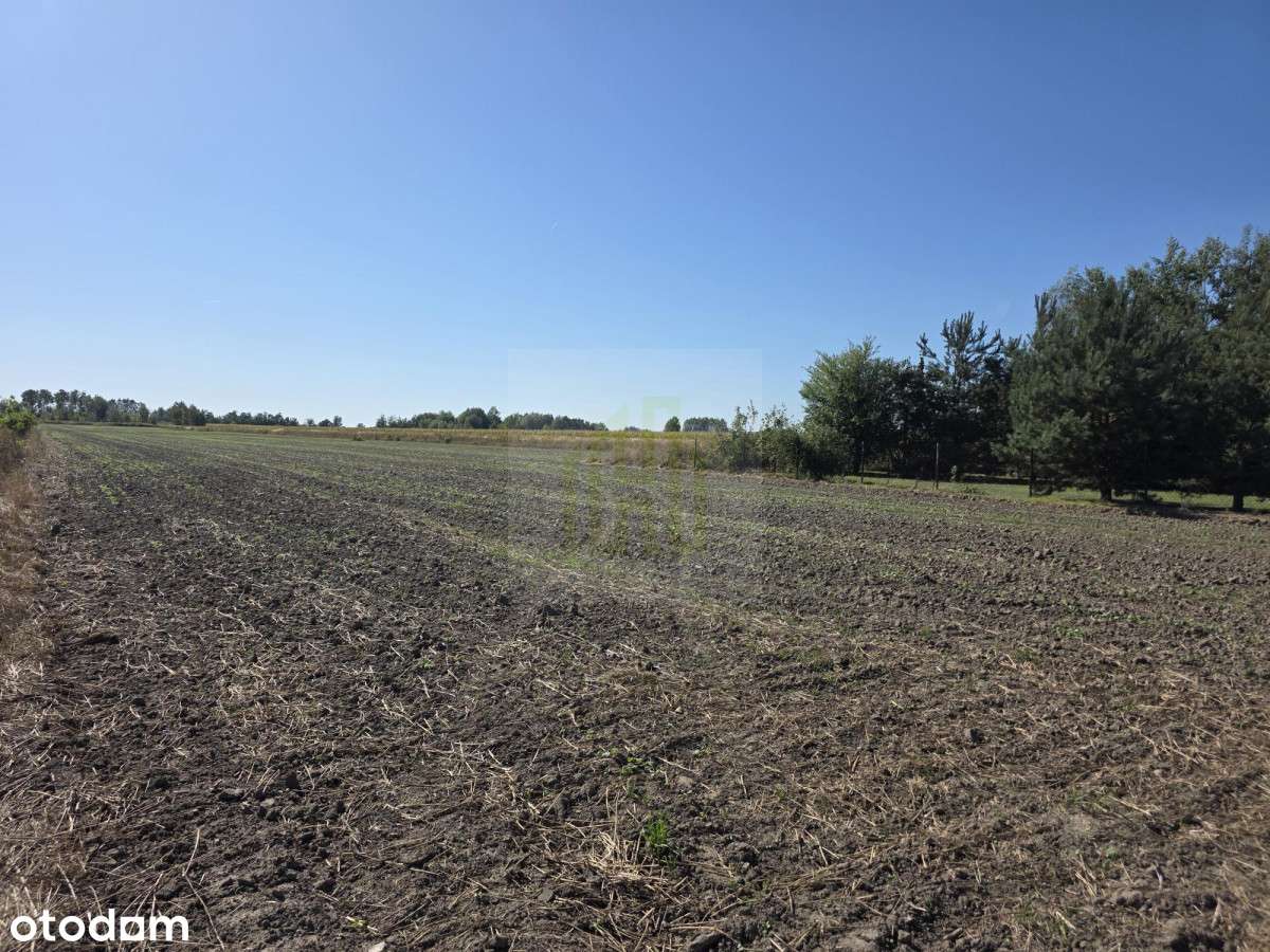 Urokliwa działka pod Błoniem - Pełny obrazek: 4/16