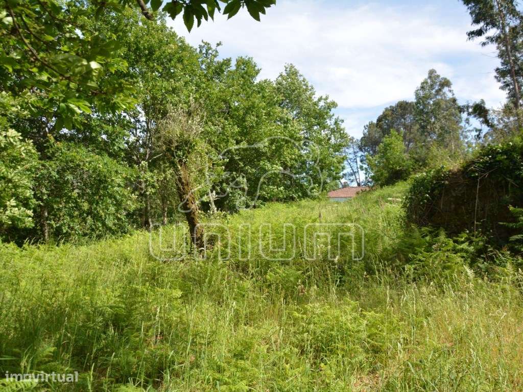 Terreno em Cazelho, Goães - Grande imagem: 5/12