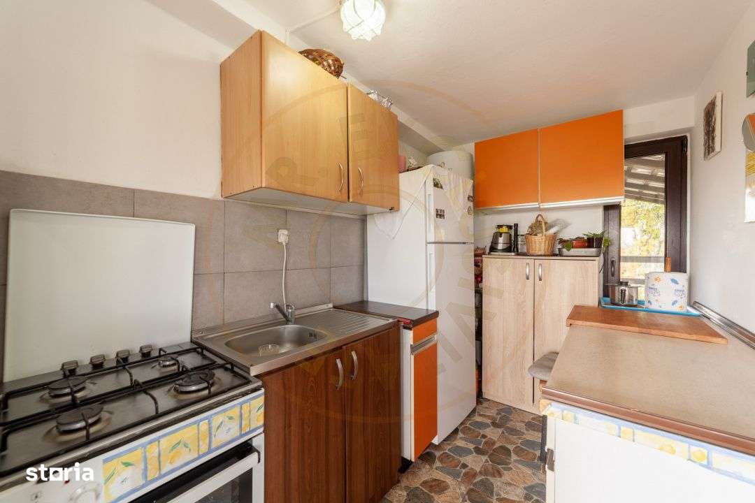 Casa P+M cu teren 2788 mp COCU -RACHITELE ARGES-10